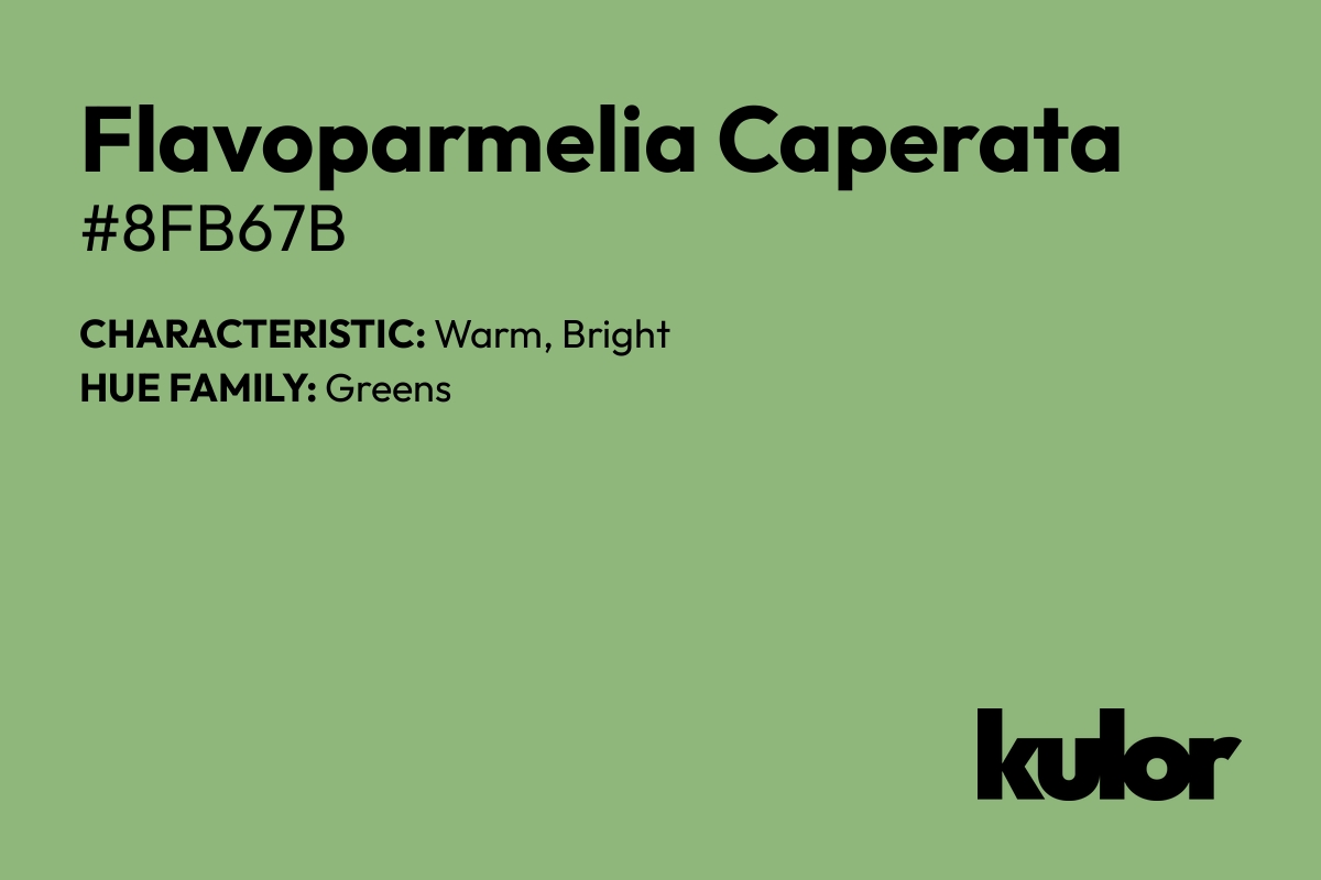 Flavoparmelia Caperata is a color with a HTML hex code of #8fb67b.