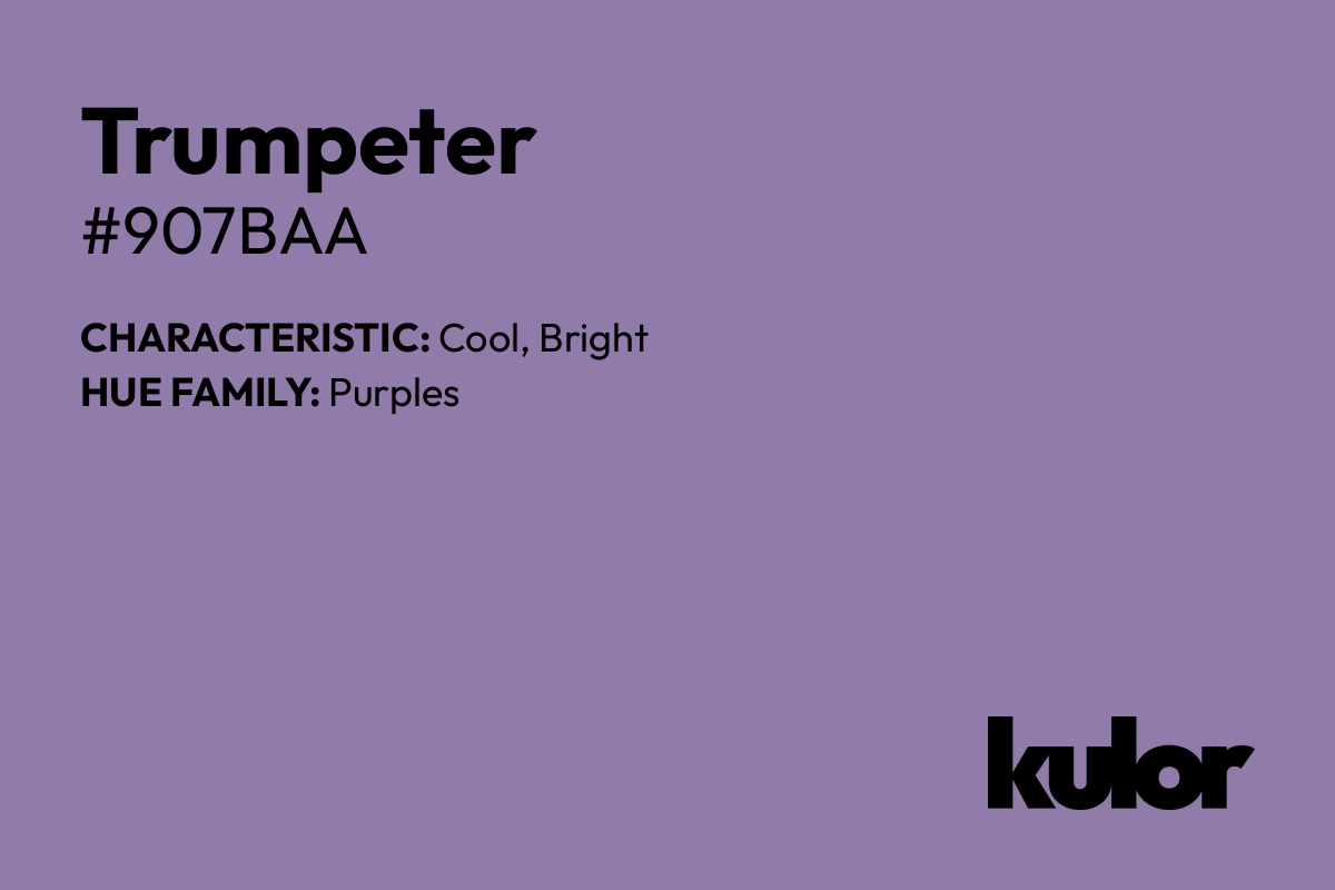 Trumpeter is a color with a HTML hex code of #907baa.