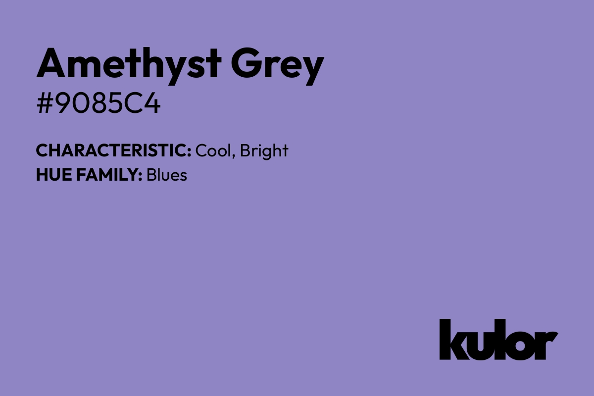 Amethyst Grey is a color with a HTML hex code of #9085c4.