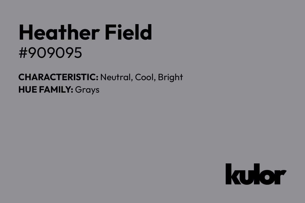 Heather Field is a color with a HTML hex code of #909095.