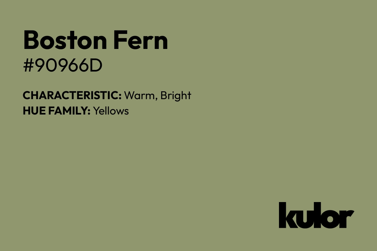 Boston Fern is a color with a HTML hex code of #90966d.