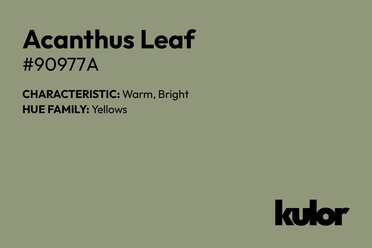 Acanthus Leaf is a color with a HTML hex code of #90977a.