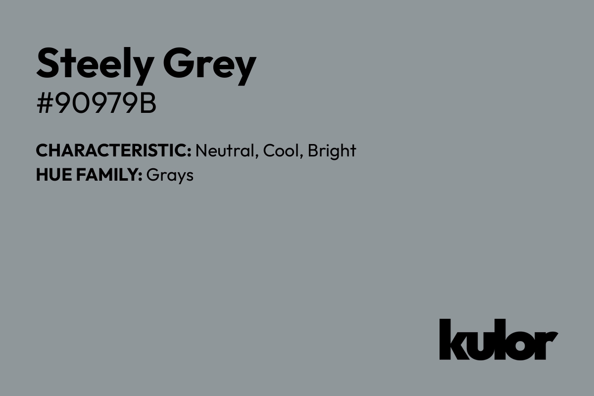 Steely Grey is a color with a HTML hex code of #90979b.