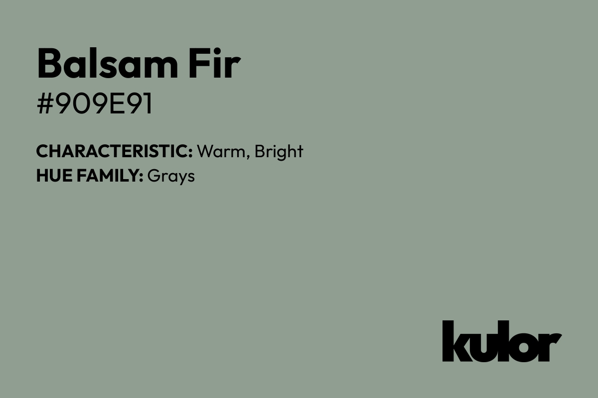 Balsam Fir is a color with a HTML hex code of #909e91.