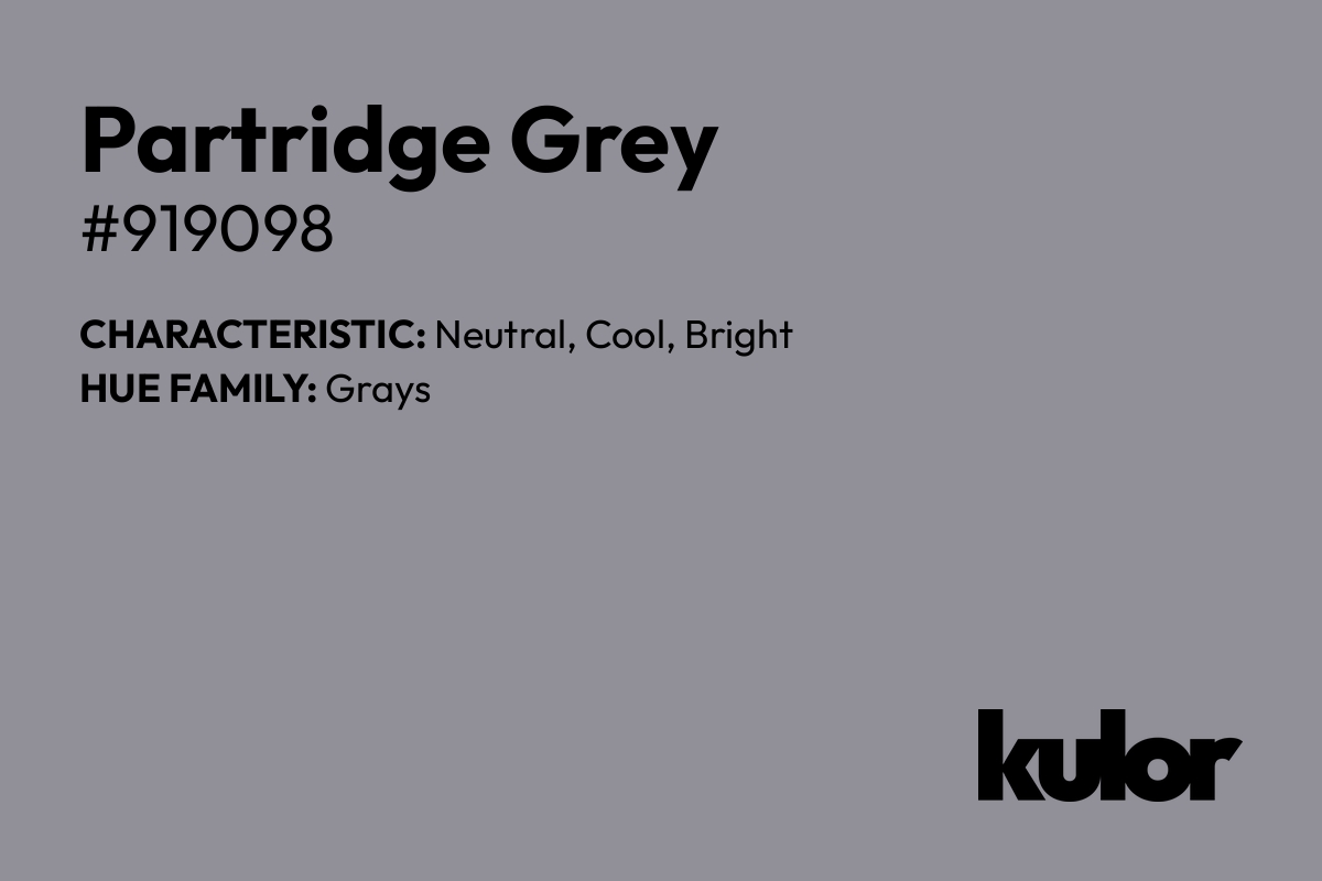 Partridge Grey is a color with a HTML hex code of #919098.