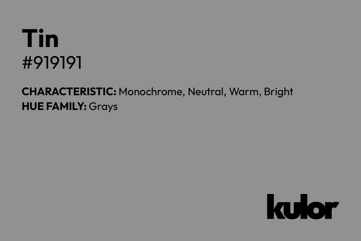 Tin is a color with a HTML hex code of #919191.