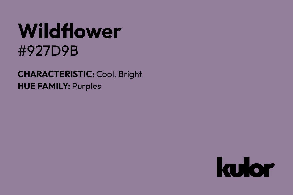 Wildflower is a color with a HTML hex code of #927d9b.