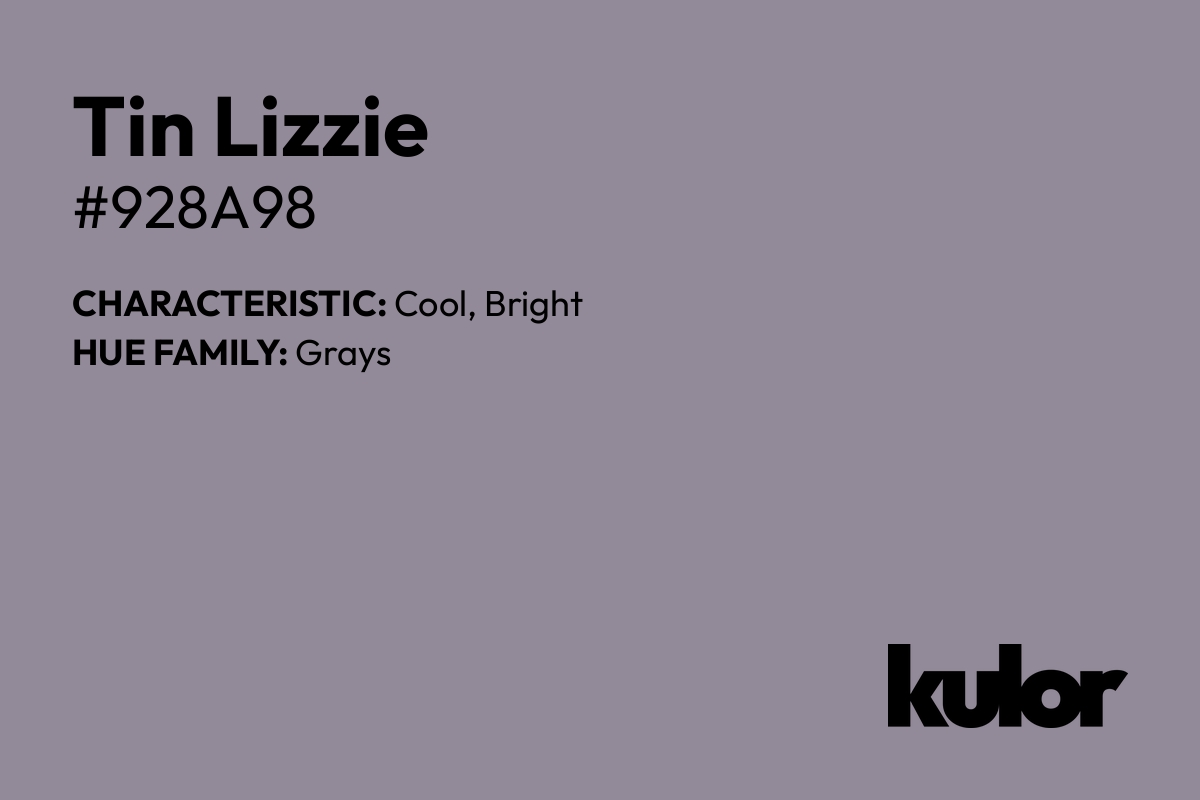 Tin Lizzie is a color with a HTML hex code of #928a98.