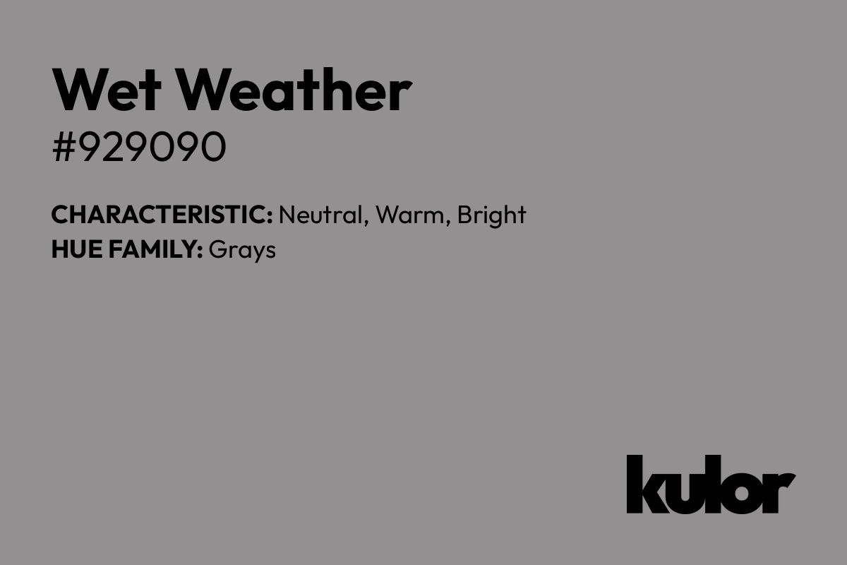 Wet Weather is a color with a HTML hex code of #929090.