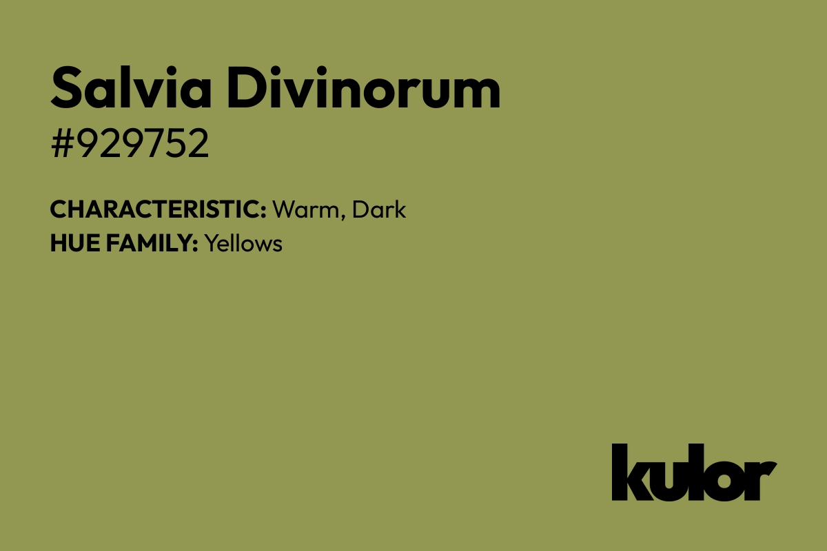 Salvia Divinorum is a color with a HTML hex code of #929752.