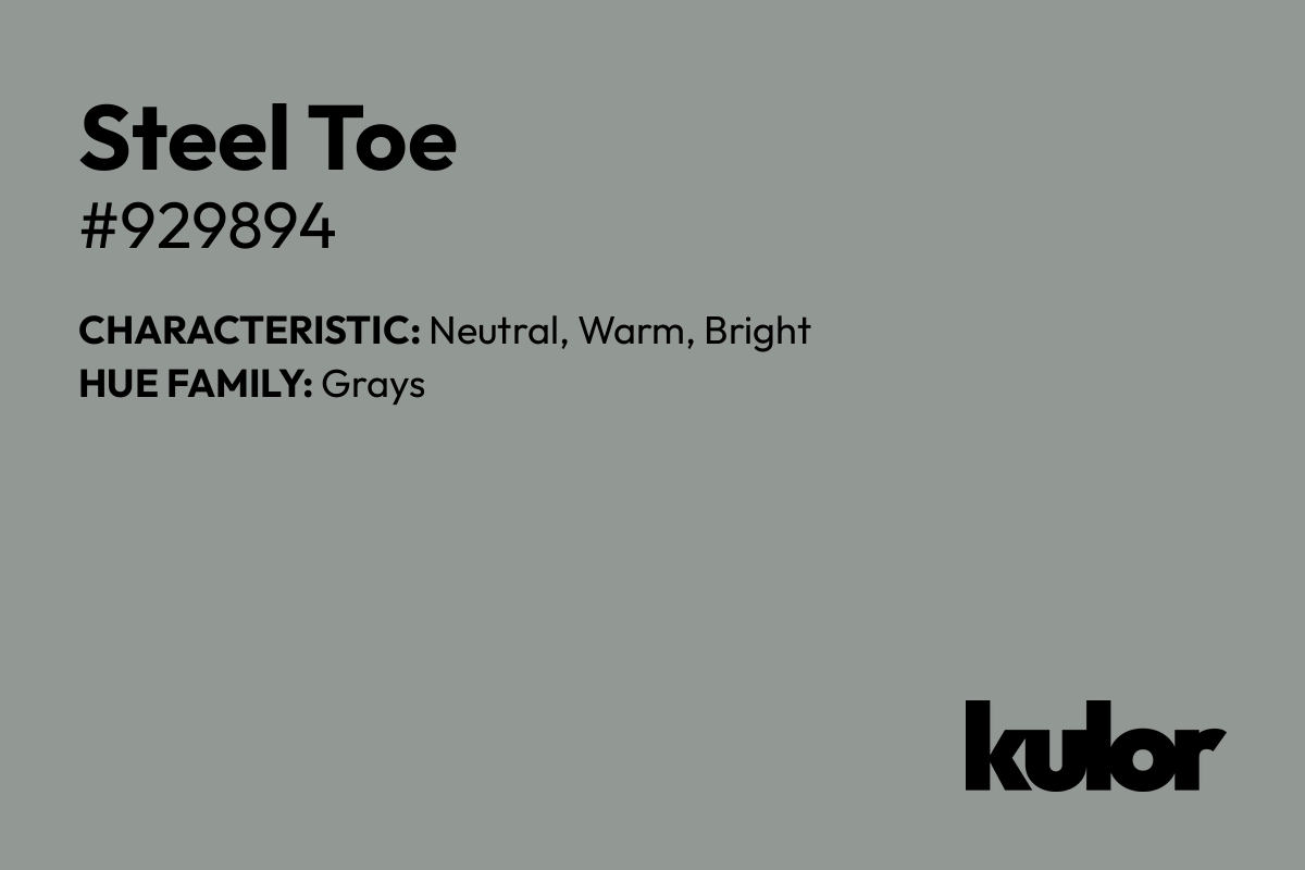 Steel Toe is a color with a HTML hex code of #929894.