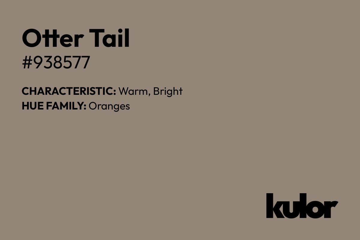 Otter Tail is a color with a HTML hex code of #938577.