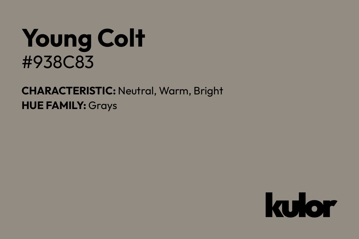 Young Colt is a color with a HTML hex code of #938c83.