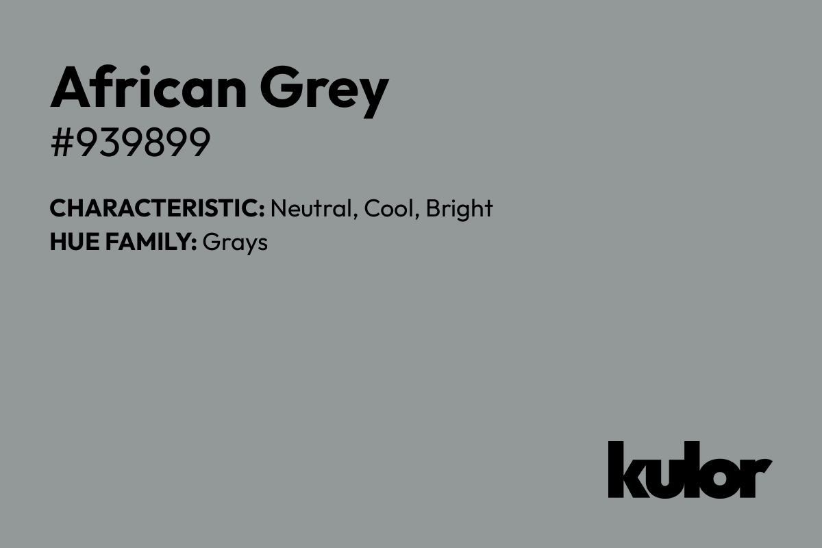 African Grey is a color with a HTML hex code of #939899.