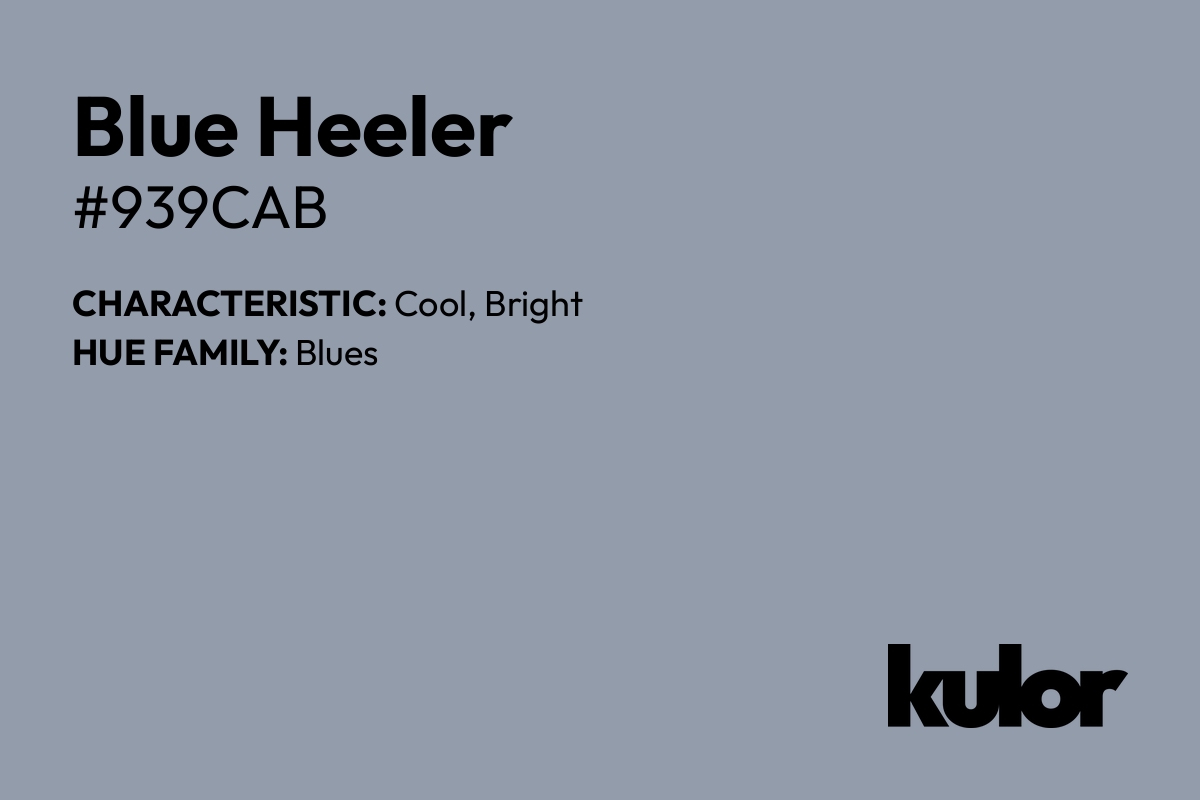 Blue Heeler is a color with a HTML hex code of #939cab.