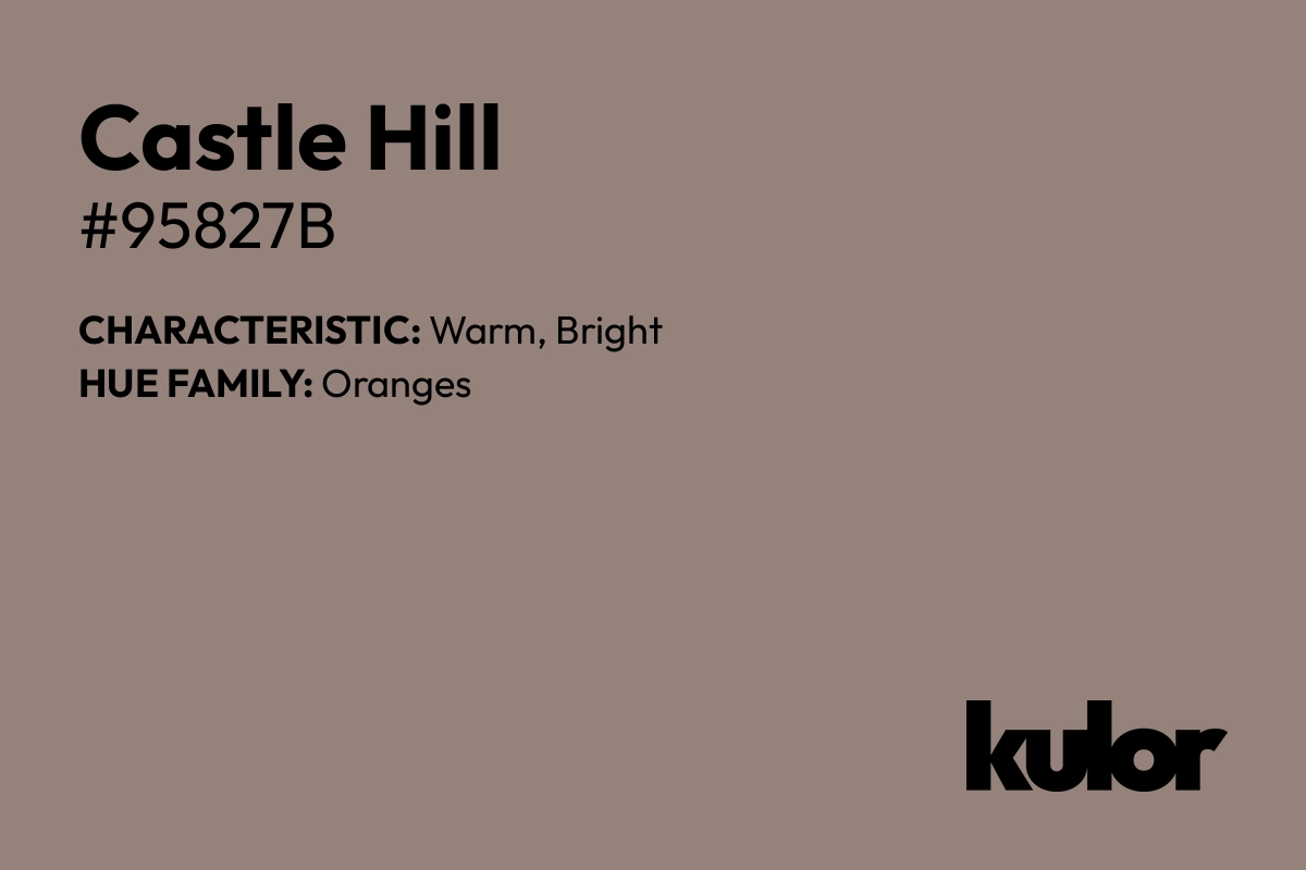 Castle Hill is a color with a HTML hex code of #95827b.