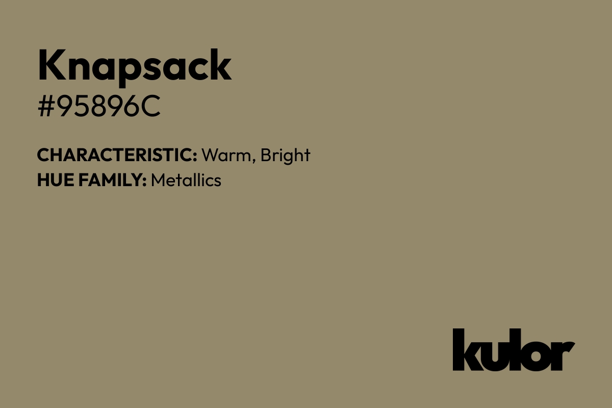 Knapsack is a color with a HTML hex code of #95896c.