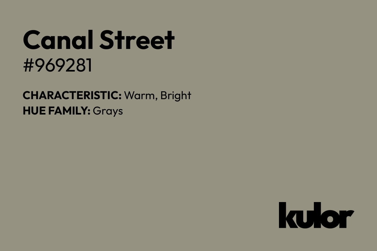 Canal Street is a color with a HTML hex code of #969281.