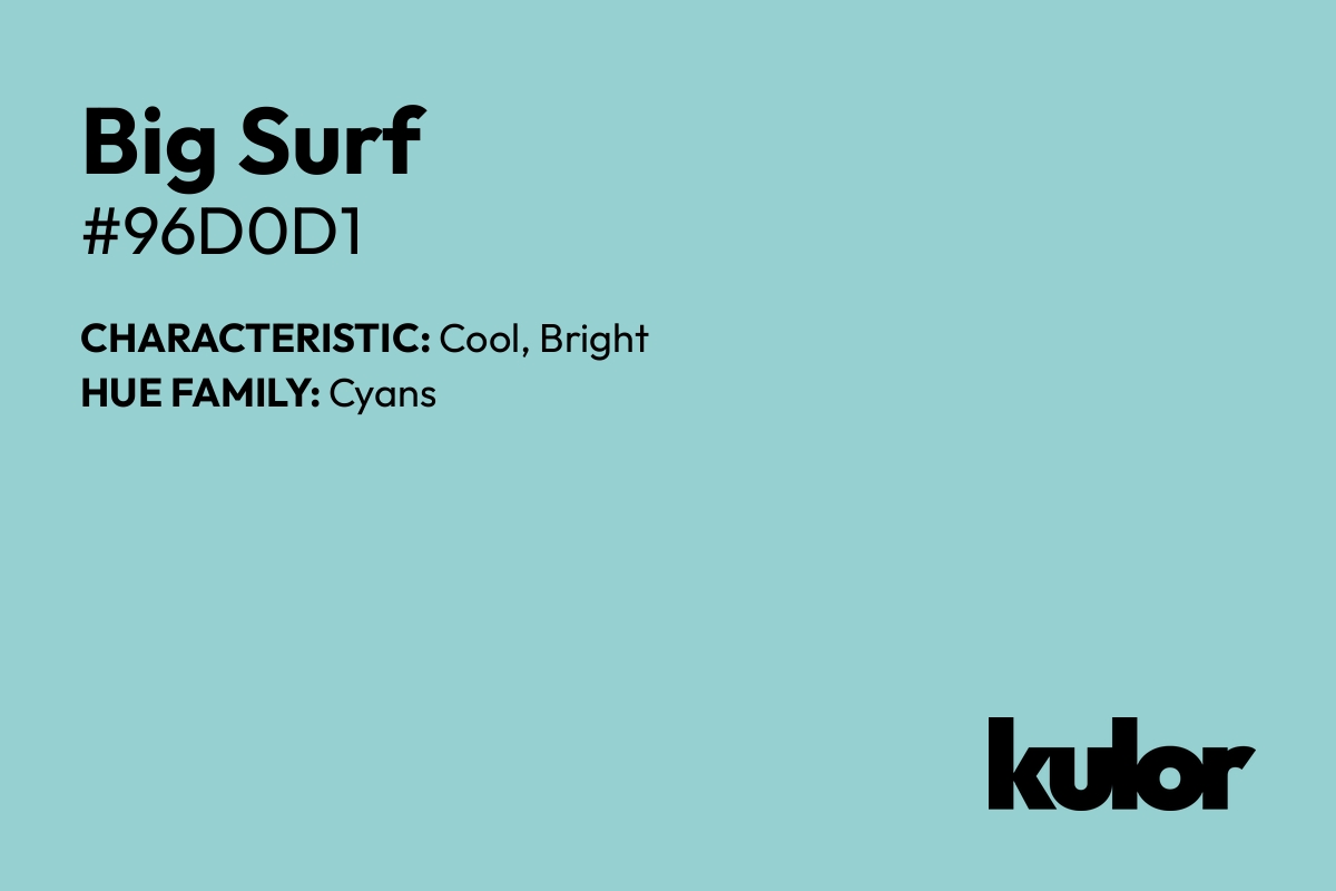 Big Surf is a color with a HTML hex code of #96d0d1.