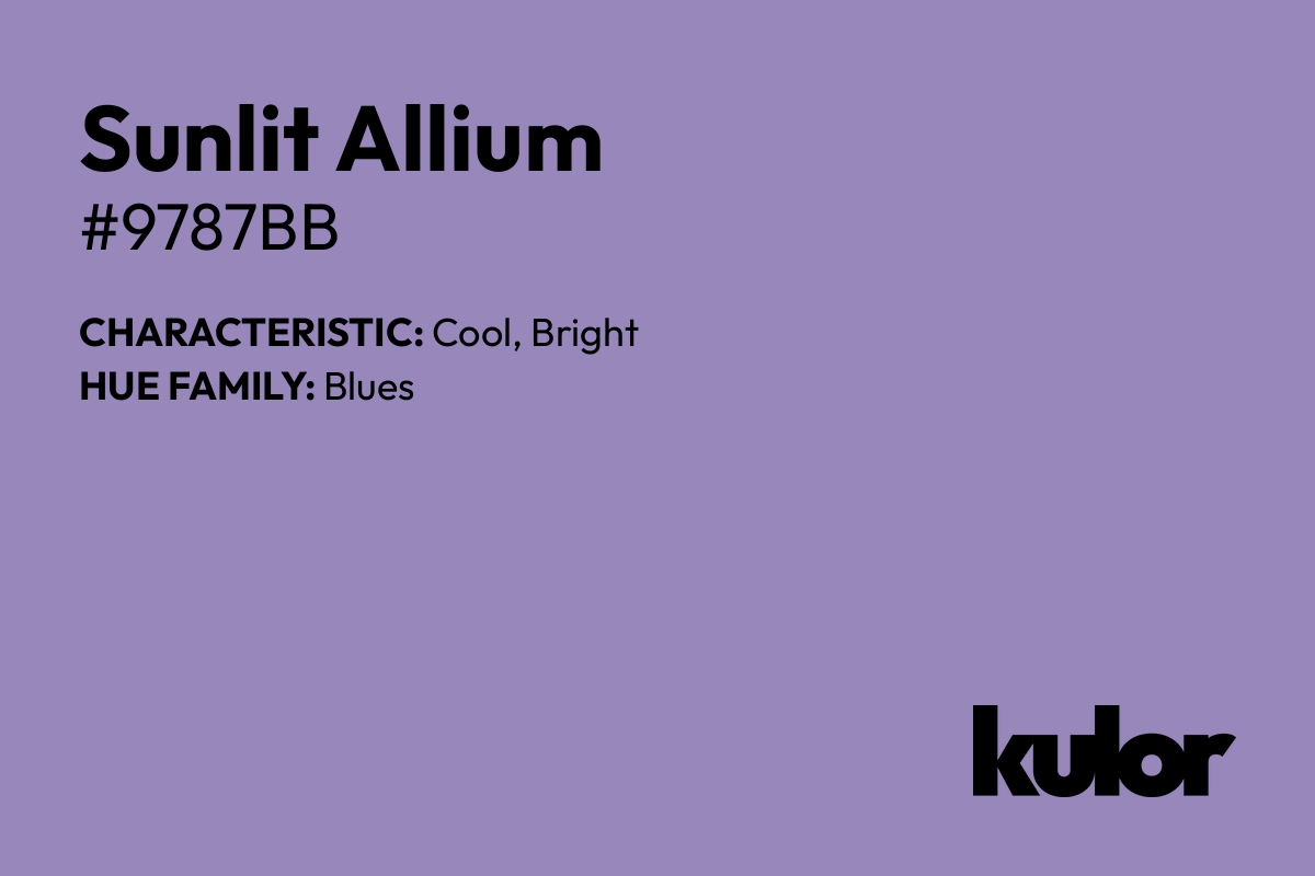 Sunlit Allium is a color with a HTML hex code of #9787bb.