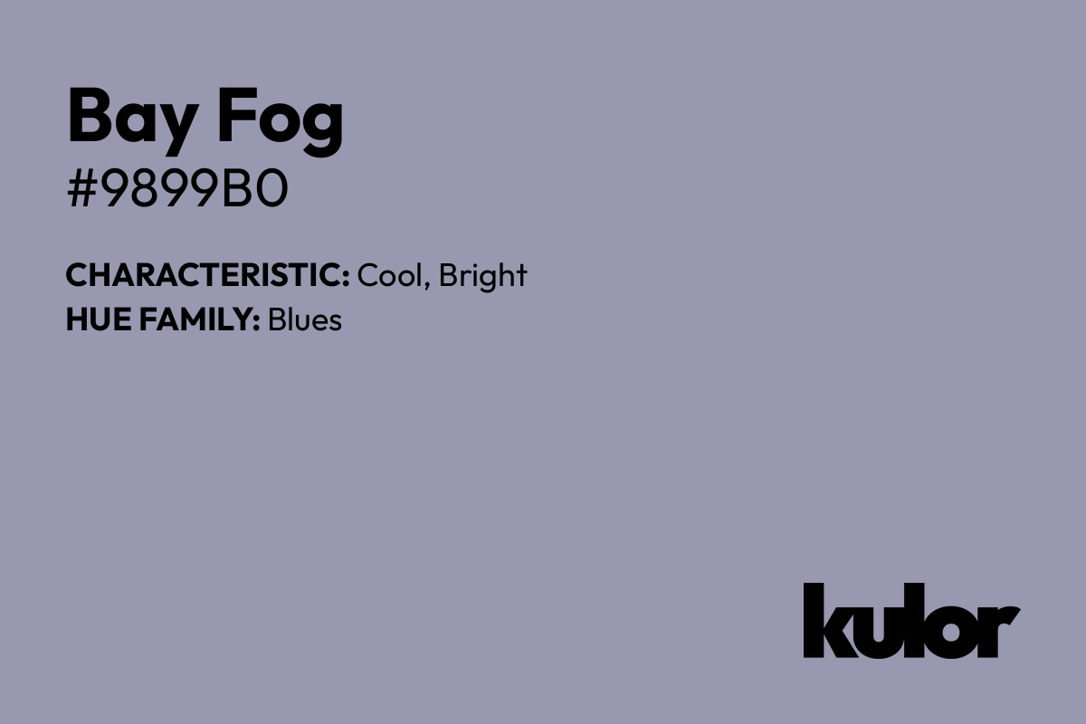 Bay Fog is a color with a HTML hex code of #9899b0.