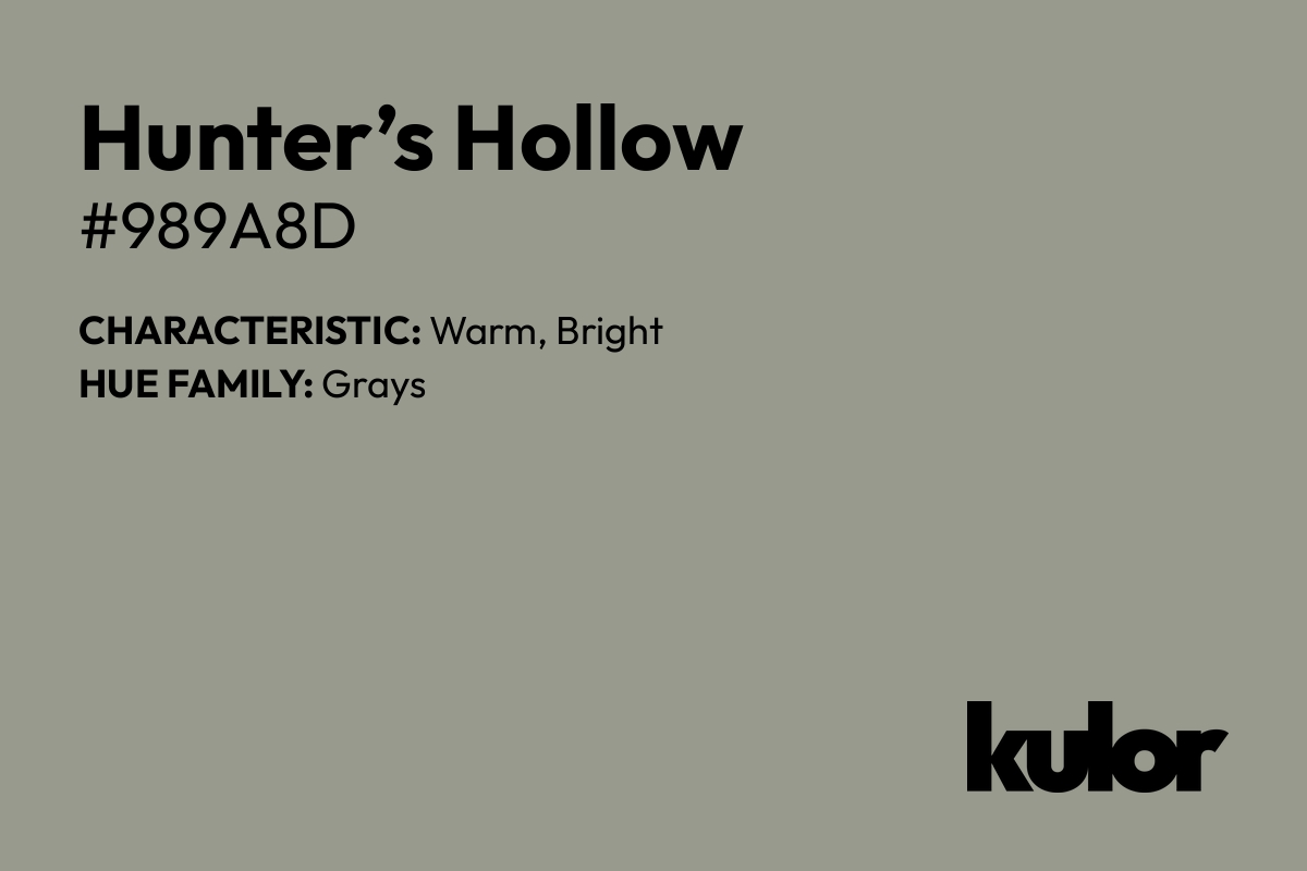 Hunter’s Hollow is a color with a HTML hex code of #989a8d.