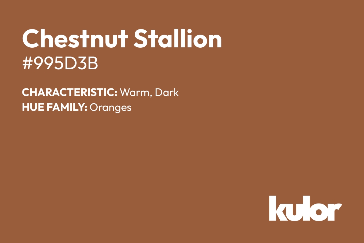 Chestnut Stallion is a color with a HTML hex code of #995d3b.