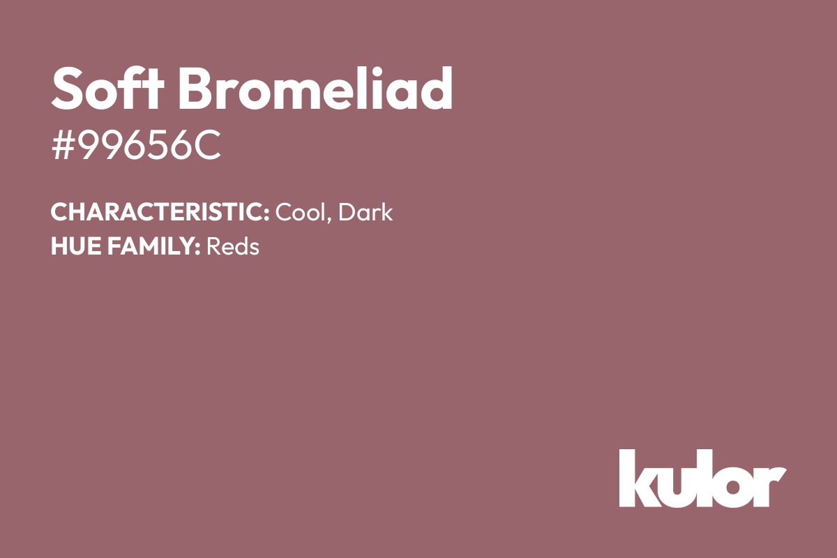 Soft Bromeliad is a color with a HTML hex code of #99656c.