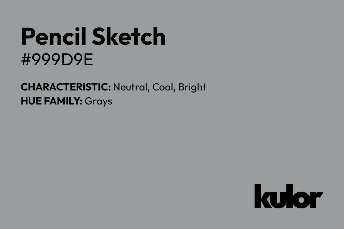 Pencil Sketch is a color with a HTML hex code of #999d9e.