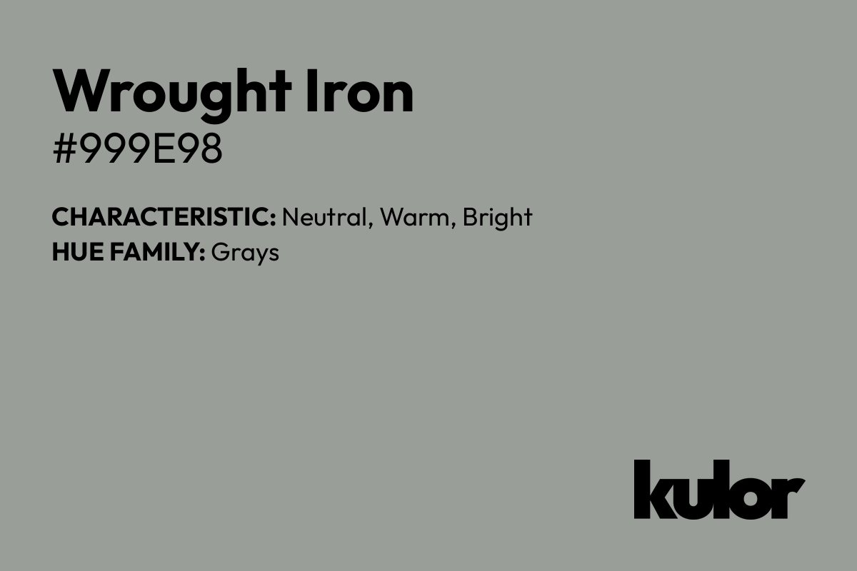 Wrought Iron is a color with a HTML hex code of #999e98.