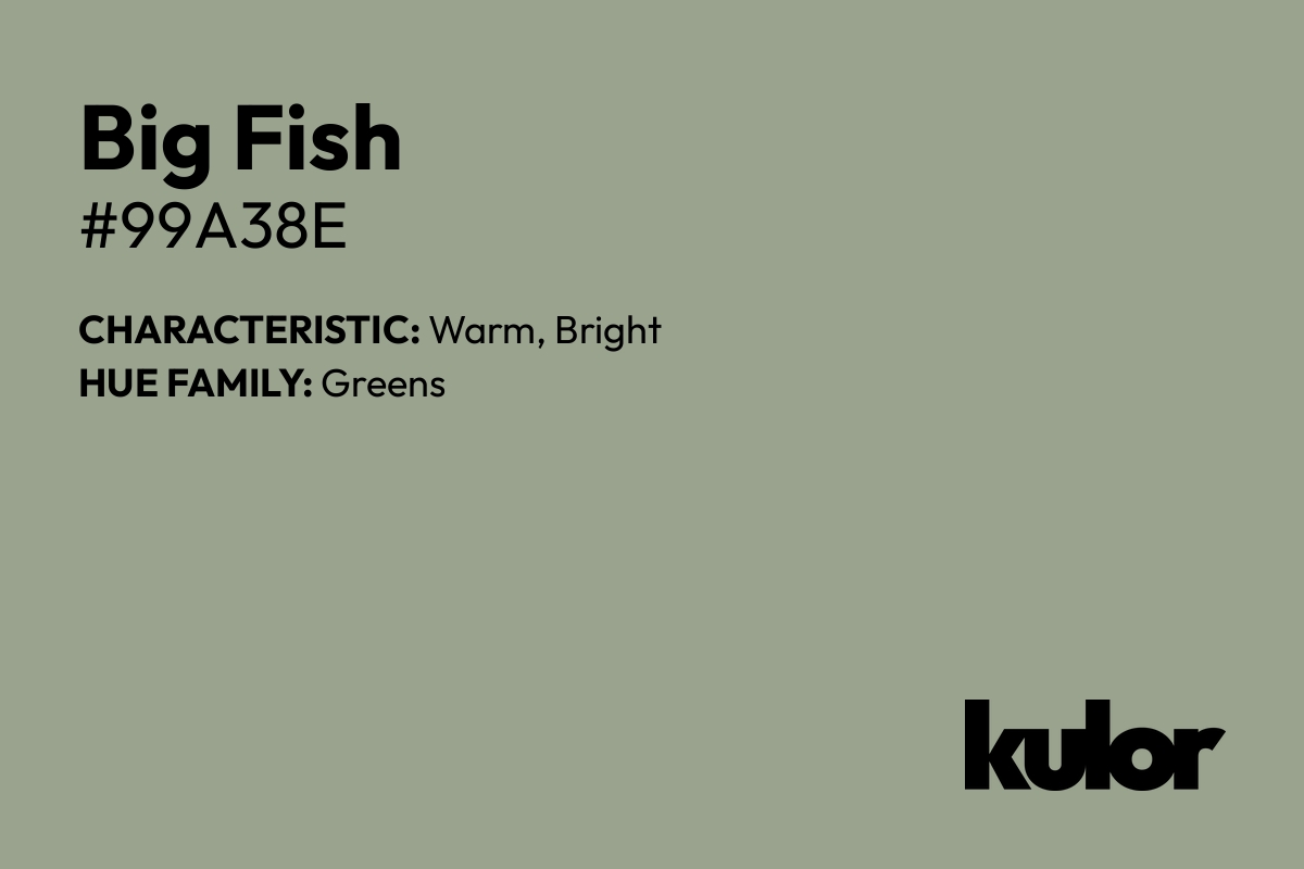 Big Fish is a color with a HTML hex code of #99a38e.