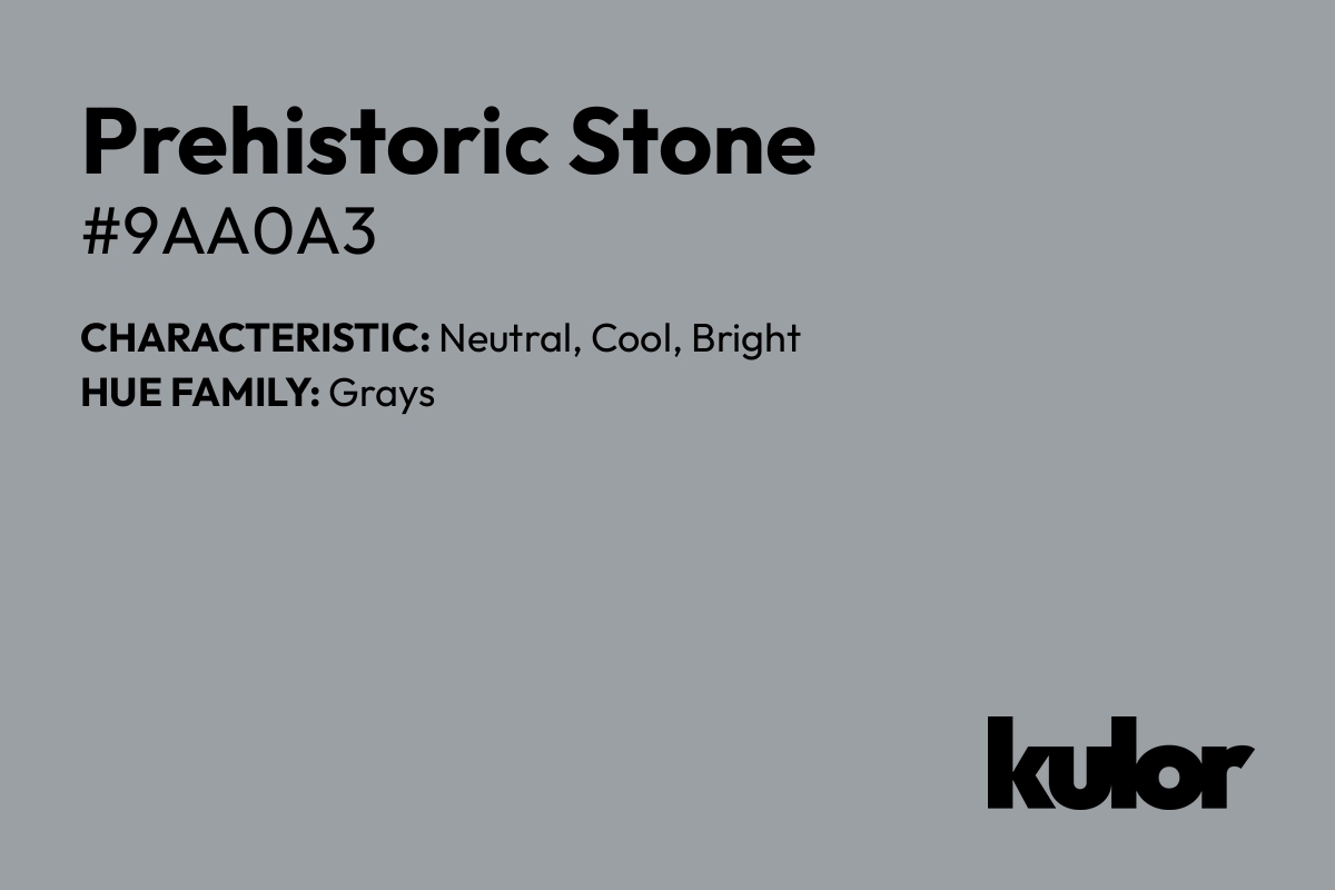 Prehistoric Stone is a color with a HTML hex code of #9aa0a3.