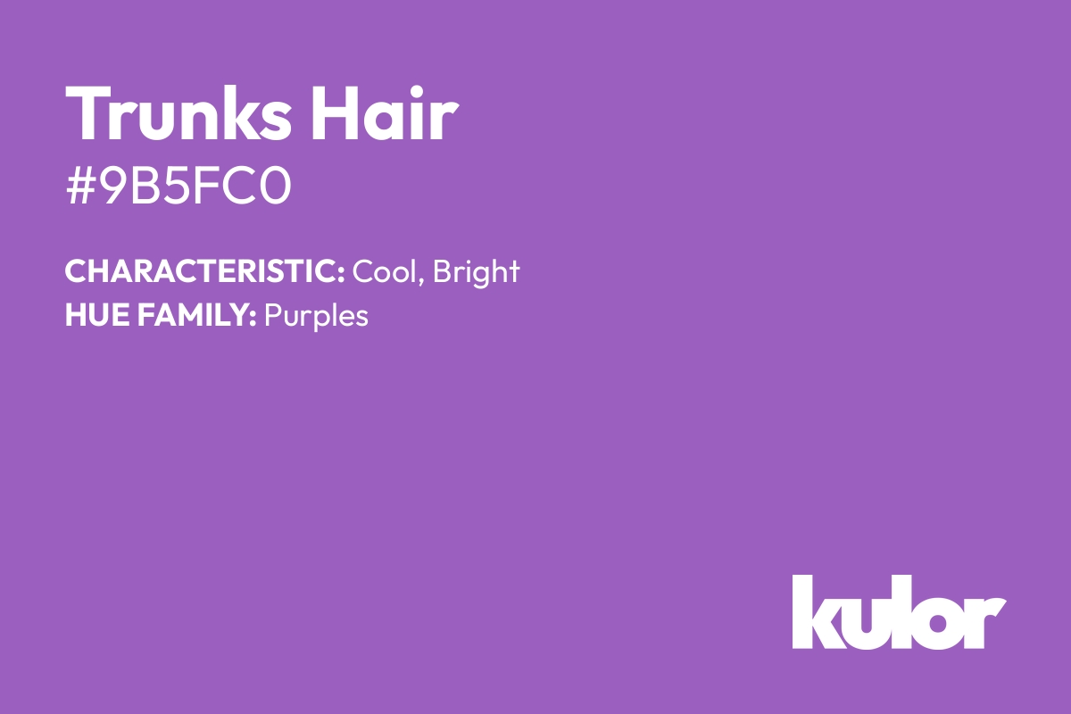 Trunks Hair is a color with a HTML hex code of #9b5fc0.