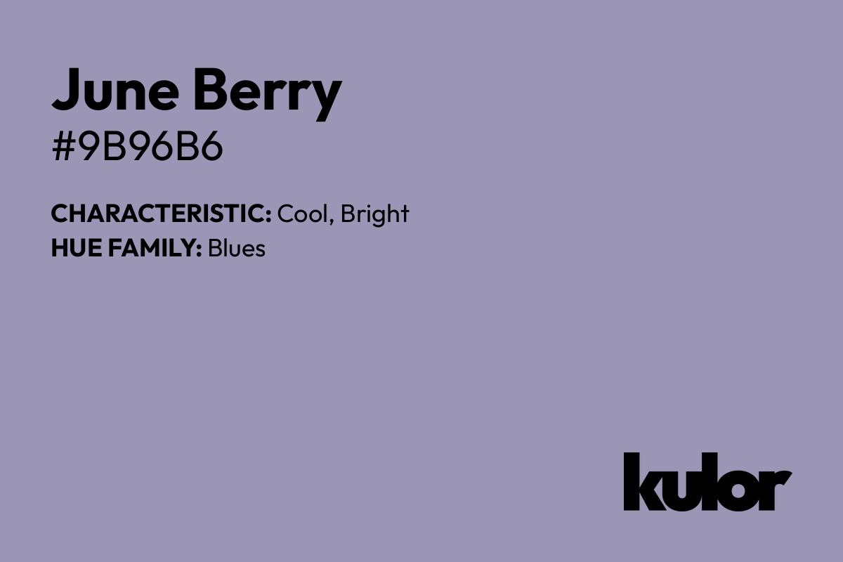 June Berry is a color with a HTML hex code of #9b96b6.