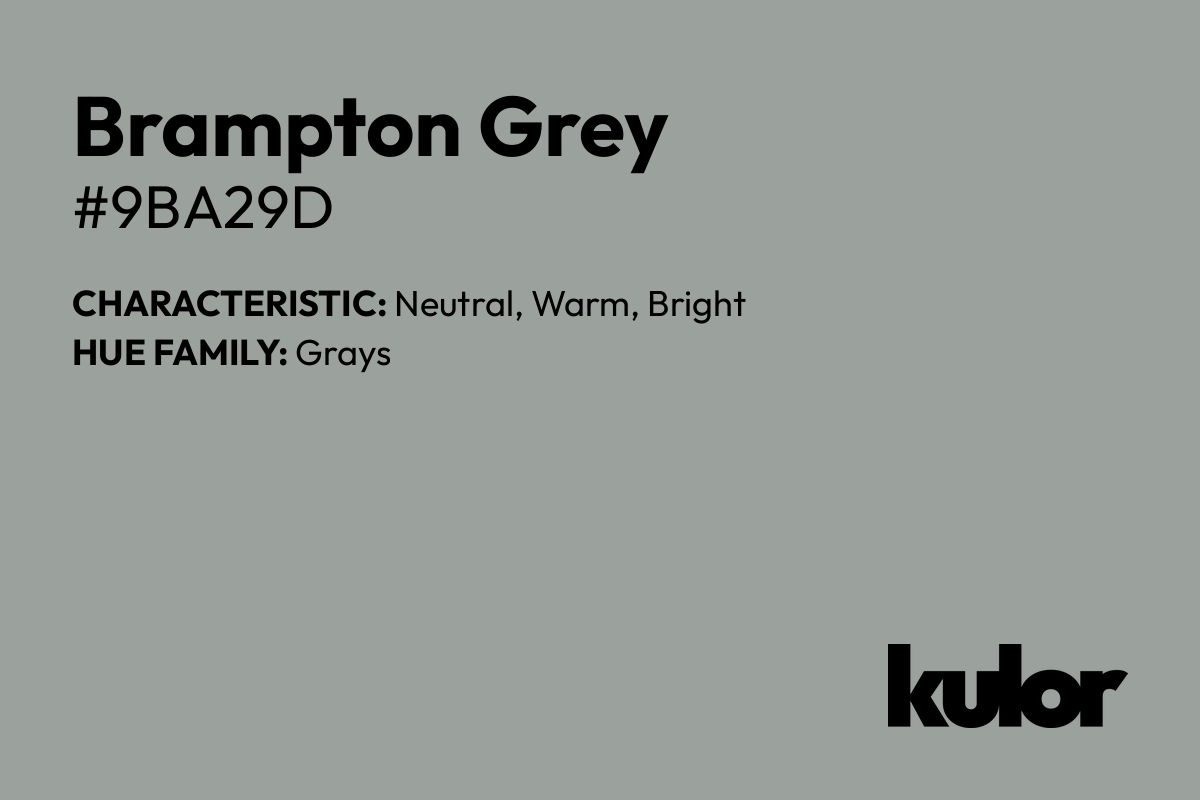 Brampton Grey is a color with a HTML hex code of #9ba29d.