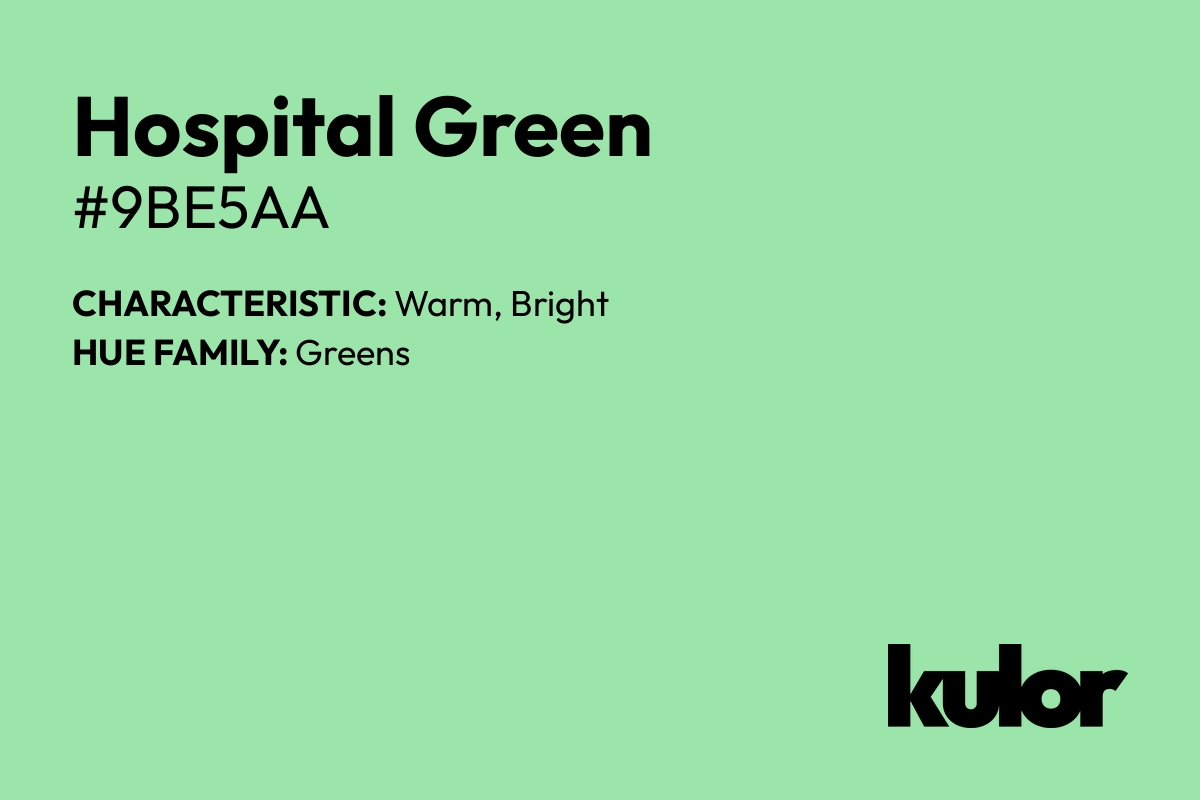 Hospital Green is a color with a HTML hex code of #9be5aa.