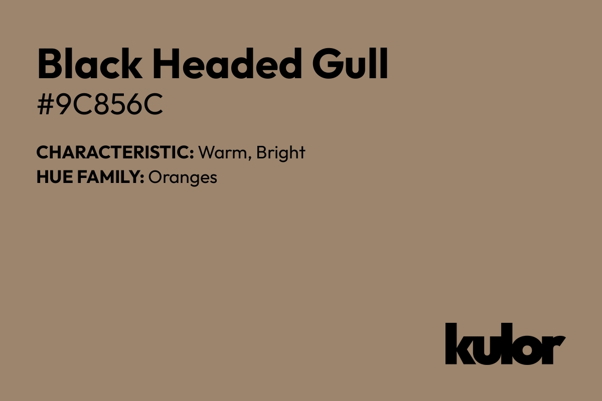 Black Headed Gull is a color with a HTML hex code of #9c856c.