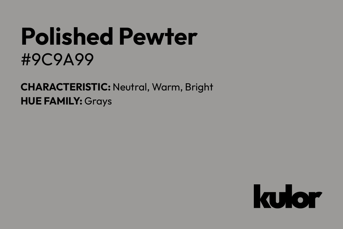 Polished Pewter is a color with a HTML hex code of #9c9a99.