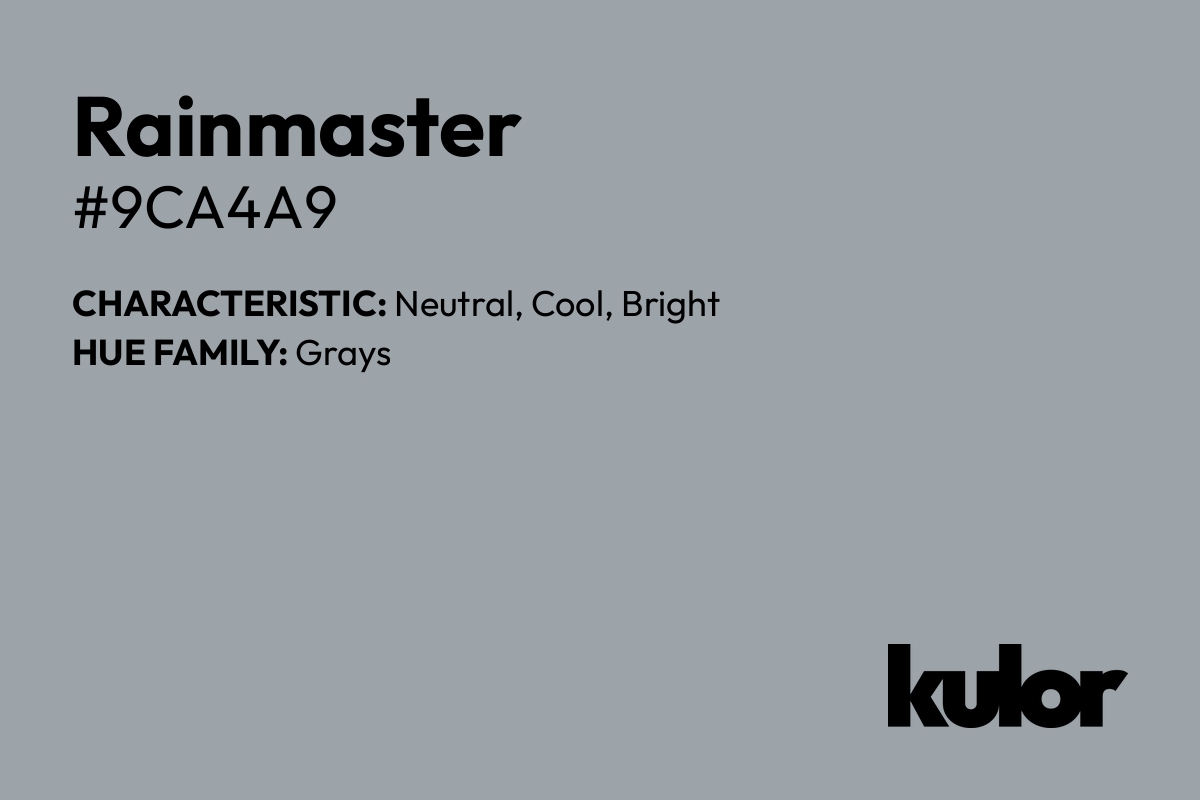 Rainmaster is a color with a HTML hex code of #9ca4a9.