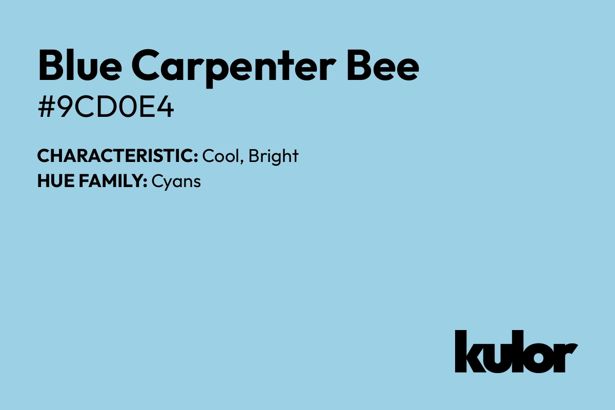 Blue Carpenter Bee is a color with a HTML hex code of #9cd0e4.