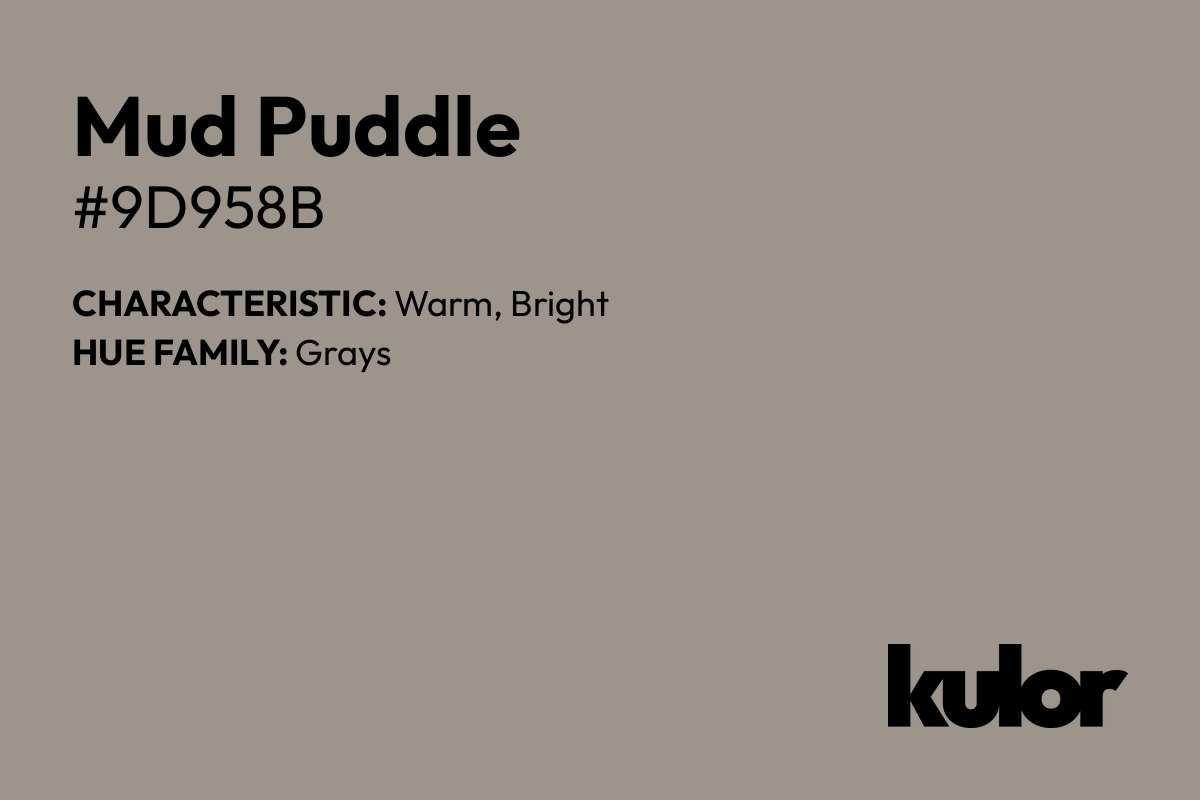 Mud Puddle is a color with a HTML hex code of #9d958b.