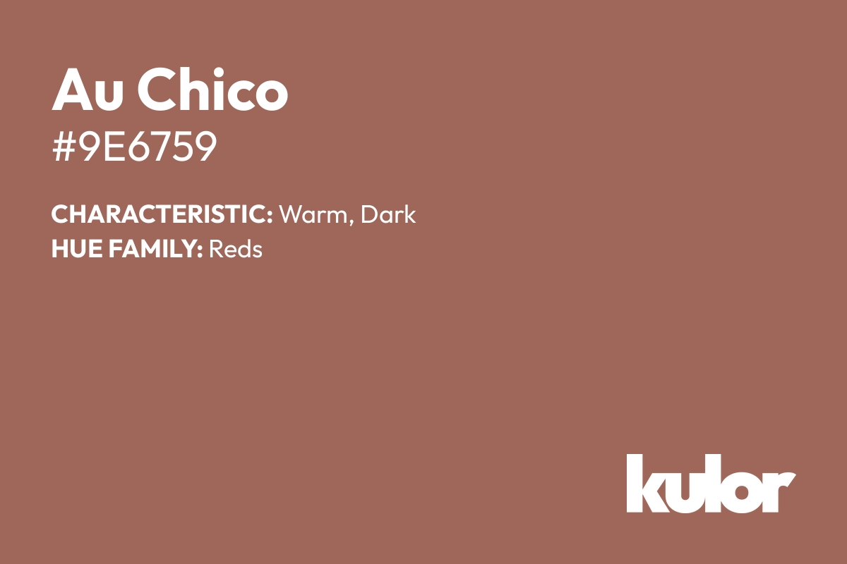 Au Chico is a color with a HTML hex code of #9e6759.