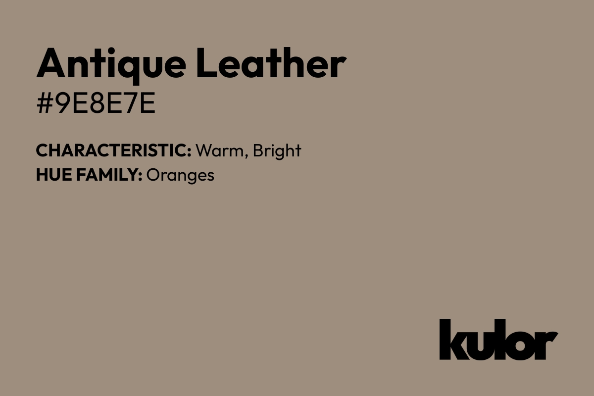 Antique Leather is a color with a HTML hex code of #9e8e7e.