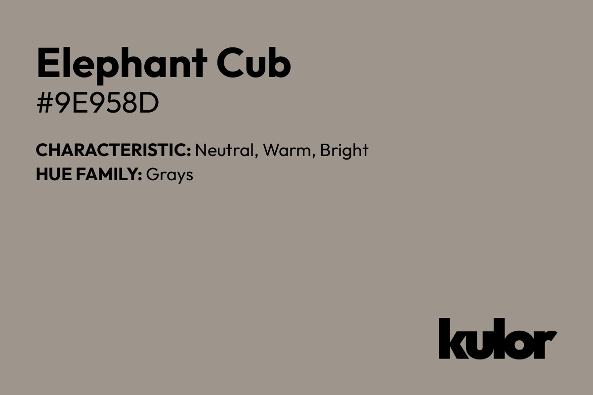 Elephant Cub is a color with a HTML hex code of #9e958d.