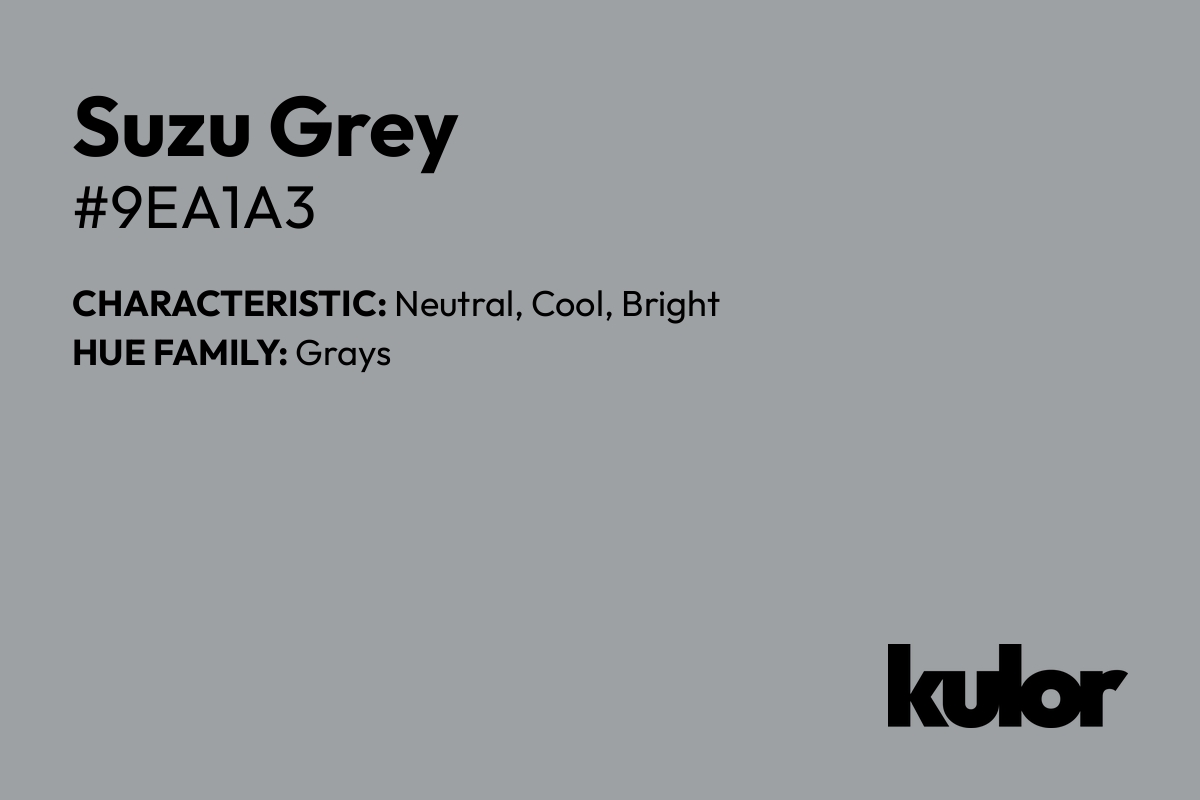 Suzu Grey is a color with a HTML hex code of #9ea1a3.