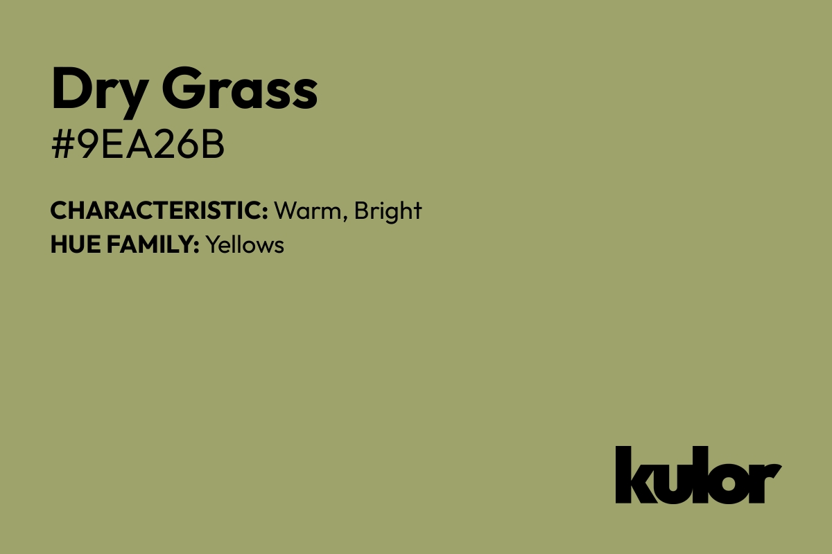 Dry Grass is a color with a HTML hex code of #9ea26b.