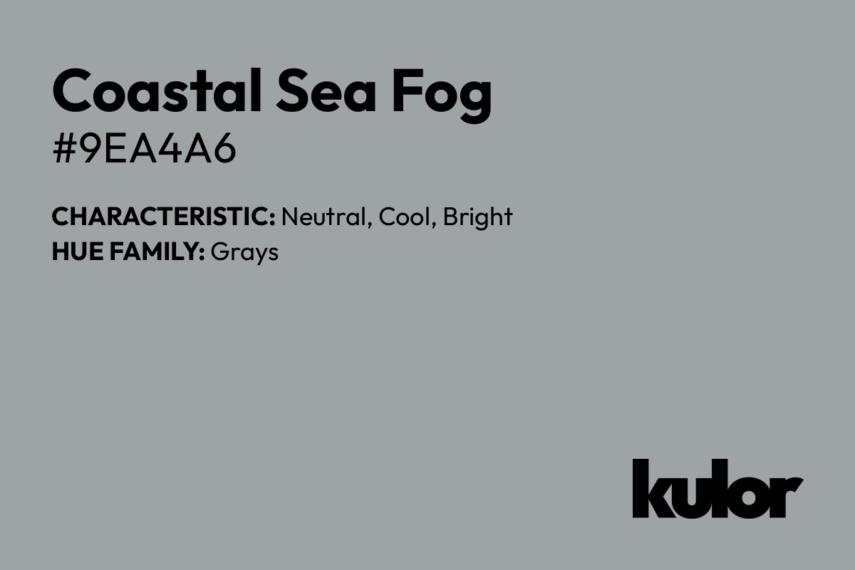 Coastal Sea Fog is a color with a HTML hex code of #9ea4a6.