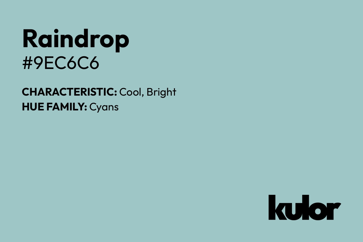 Raindrop is a color with a HTML hex code of #9ec6c6.