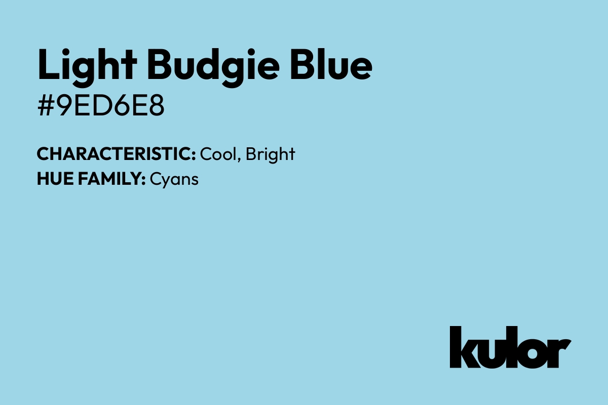 Light Budgie Blue is a color with a HTML hex code of #9ed6e8.