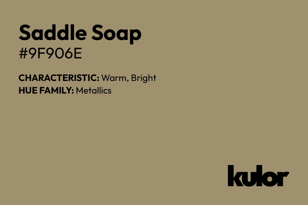 Saddle Soap is a color with a HTML hex code of #9f906e.